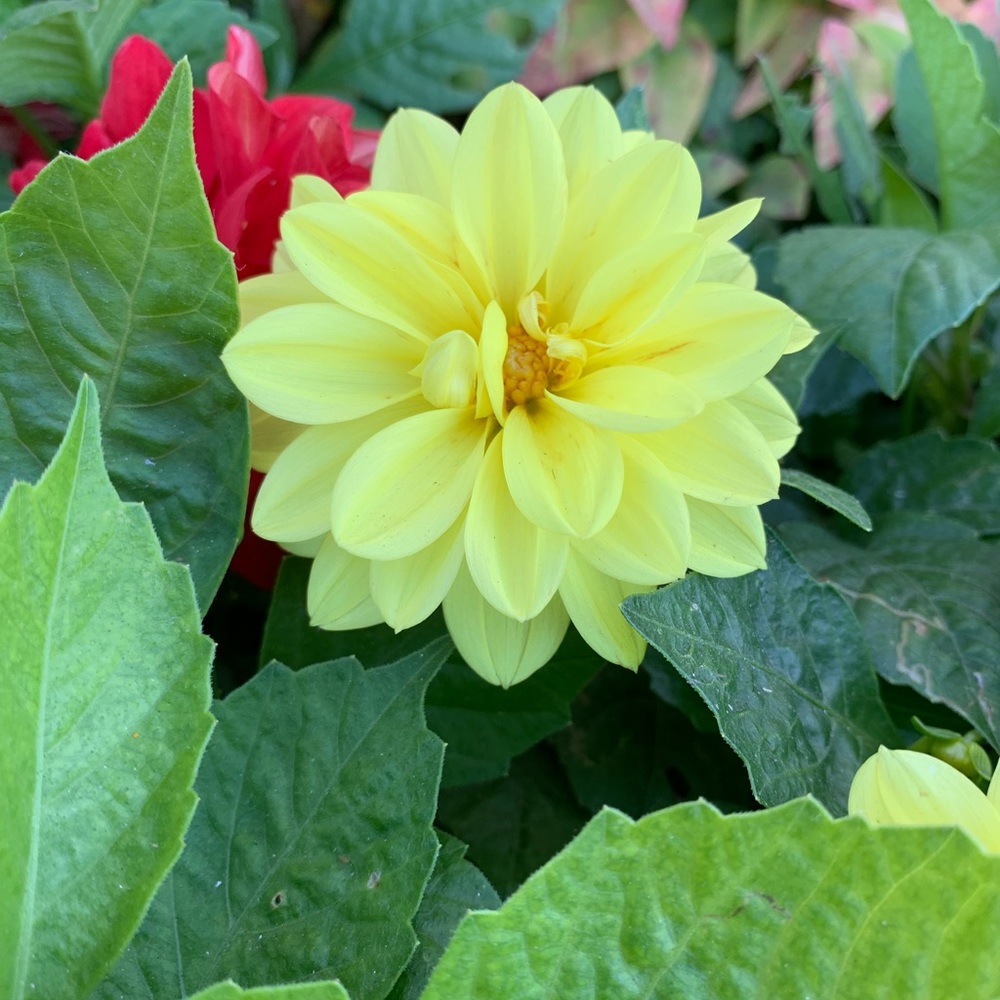 HI there, I’m Bella